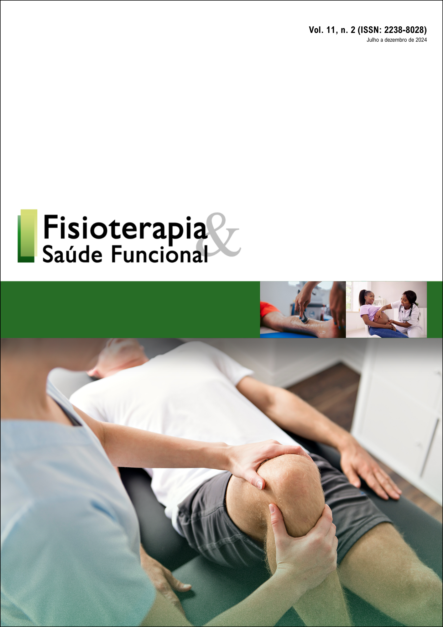 					View Vol. 11 No. 2 (2024): REVISTA FISIOTERAPIA & SAÚDE FUNCIONAL
				